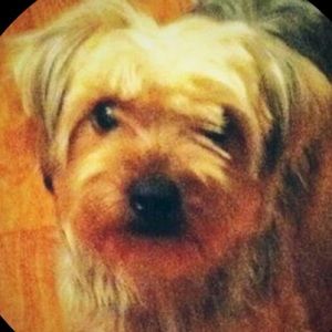 Meet your Posher, Nathan